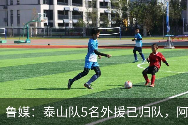 鲁媒：泰山队5名外援已归队，阿尔瓦罗6月份复出难度比较大